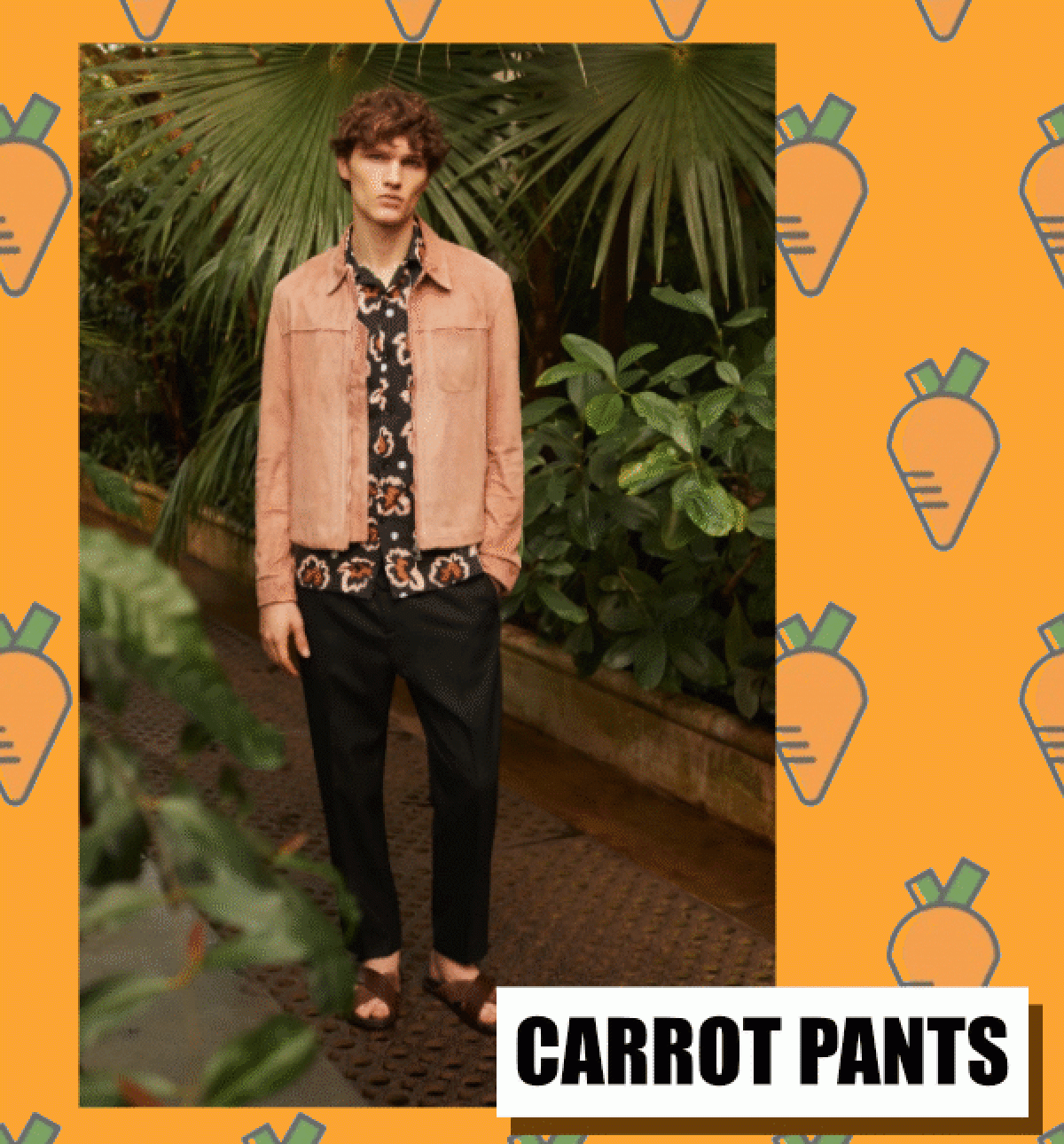 What are carrot pants? Fashion carrot pants 2020-2021