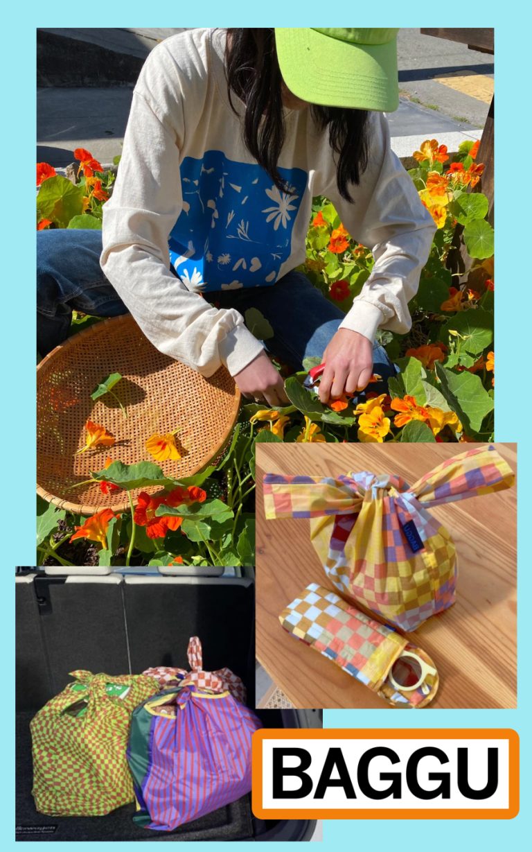 Sustainable Style for Earth Day with Baggu Madison to Melrose